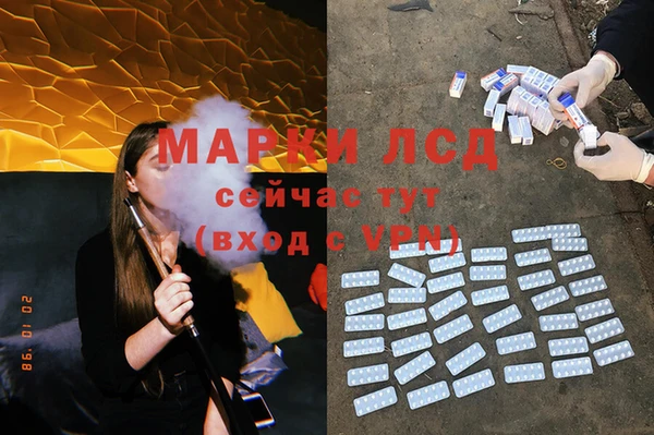 спайс Алзамай